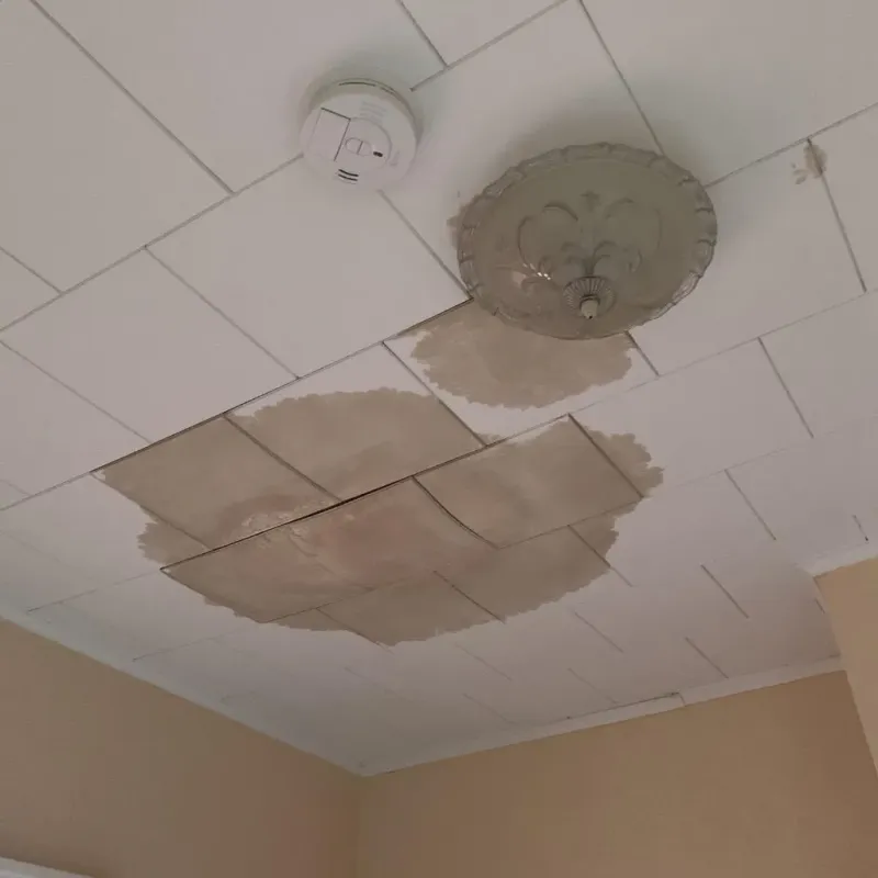 Ceiling Water Damage Repair in Shelter Island, NY